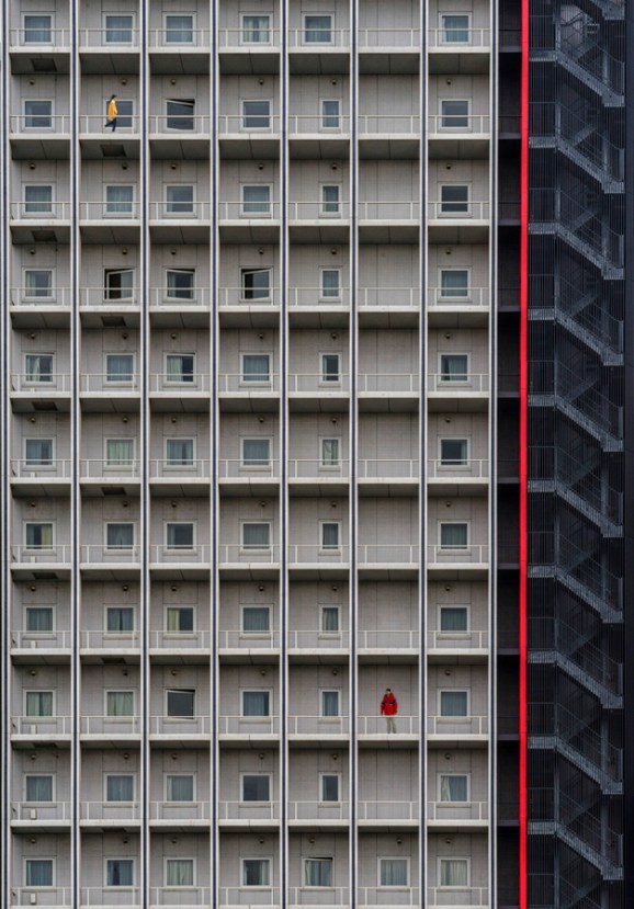 Bertako saria - Javier Ortiz: "Colmena"